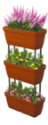Blumenkasten stapelbar im Angebot bei Netto mit dem Scottie in Stralsund Blumenkasten stapelbar Angebote bei Netto mit dem Scottie Stralsund für 19,99 €