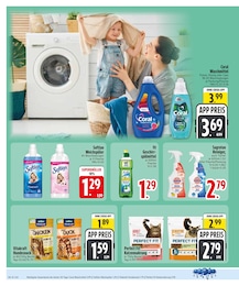 EDEKA Katzenfutter im Prospekt EDEKA Katzenfutter im Prospekt
