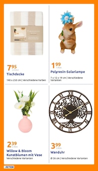 Blumen im Action Prospekt "Wochenangebote" mit 31 Seiten (Mönchengladbach)