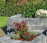 Hagebaumarkt Gladbeck Prospekt mit  im Angebot für 4,99 €
