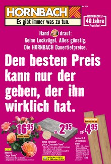 Laminat im Hornbach Prospekt "Den besten Preis kann nur der geben, der ihn wirklich hat." mit 34 Seiten (Offenbach (Main))