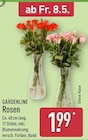 Rosen Angebote von Gardenline bei ALDI Nord Greifswald für 1,99 €