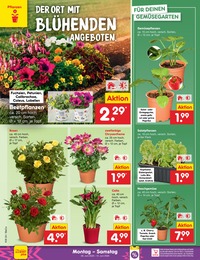 Holz Angebot & Preis im aktuellen Netto Marken-Discount Prospekt Holz Angebot im aktuellen Netto Marken-Discount Prospekt auf Seite 14