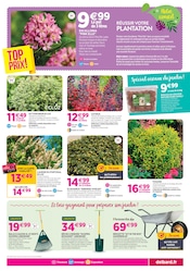 Promos Laurier dans le catalogue "Chez nous les bonnes affaires c'est toute l'année" de Delbard Laurier en promo dans le catalogue Delbard à la page 5