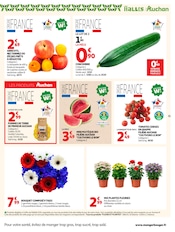 Prospectus Auchan Hypermarché "LES TOPS" en cours à Pau, Page 31 Catalogue Auchan Hypermarché en cours à Pau, "LES TOPS", Page 31