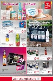 Pepsi im Selgros Prospekt in Wolfenbüttel Aktueller Selgros Prospekt mit Pepsi, "cash & carry", Seite 19