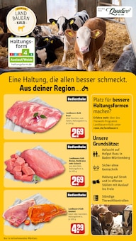 Rollbraten im REWE Prospekt "Dein Markt" mit 30 Seiten (Freiburg (Breisgau))