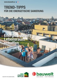 Delmes Bauwelt Prospekt für Buchholz: "Trend-Tipps FÜR DIE ENERGETISCHE SANIERUNG", 11 Seiten, 18.07.2025 - 27.07.2025