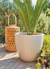 Vase “California” - ECLOZ en promo chez Jardiland Vase “California” - ECLOZ dans le catalogue Jardiland