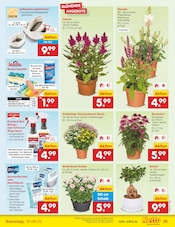 Kochtopf im Netto Marken-Discount Prospekt in Worms Aktueller Netto Marken-Discount Prospekt mit Kochtopf, "Aktuelle Angebote", Seite 33