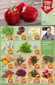 Kartoffeln im REWE Prospekt "Dein Markt" mit 30 Seiten (Mönchengladbach)