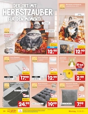 Teppichboden im Netto Marken-Discount Prospekt in Bad Oeynhausen Aktueller Netto Marken-Discount Prospekt mit Teppichboden, "Aktuelle Angebote", Seite 26