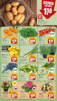 Tomaten im REWE Prospekt "Dein Markt" mit 18 Seiten (Darmstadt)