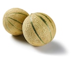Cantaloupemelone für 1,19 € bei Lidl im Angebot Cantaloupemelone im aktuellen Lidl Prospekt