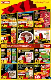 Hundefutter im Norma Prospekt in Celle Aktueller Norma Prospekt mit Hundefutter, "Mehr fürs Geld", Seite 10