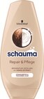 Shampoo oder Spülung bei Rossmann im Prospekt  für 1,59 €