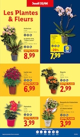 Promos Bricolage dans le catalogue "SUPPORTEZ LES BLEUS !" de Lidl Bricolage en promo dans le catalogue Lidl à la page 29