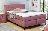 Boxspringbett im Angebot bei Opti-Megastore in Cuxhaven Boxspringbett Angebote bei Opti-Megastore Cuxhaven für 699,00 €