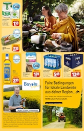 Rapsöl Angebot & Preis im aktuellen REWE Prospekt Rapsöl Angebot im aktuellen REWE Prospekt auf Seite 25