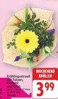 Frühlingsstrauß im Angebot bei E center in Falkensee Frühlingsstrauß Angebote bei E center Falkensee für 3,99 €