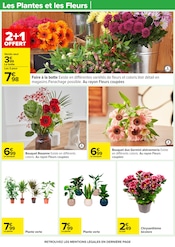 Chrysanthèmes Angebote im Prospekt "VENEZ GOÛTER AU MEILLEUR POUR DE BON !" von Carrefour Chrysanthèmes Angebote im Prospekt "VENEZ GOÛTER AU MEILLEUR POUR DE BON !" von Carrefour auf Seite 26