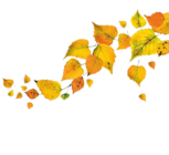 Katzenbeisser Lemberger Angebote von Lauffener Weingärtner bei REWE Dreieich für 4,29 €