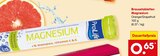 Brausetabletten Magnesium von ProLife im aktuellen Netto Marken-Discount Prospekt
