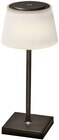 LED-Tischlampe im Angebot bei REWE in Bonn LED-Tischlampe Angebote von VIVESS bei REWE Bonn für 8,99 €