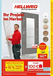 Tür Angebote im Prospekt "Die Profi-Baumärkte" von Hellweg Tür Angebote im Prospekt "Die Profi-Baumärkte" von Hellweg auf Seite 9