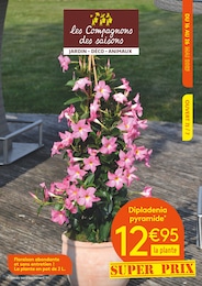 Prospectus Jardineries & Animaleries Les Compagnons des saisons en cours, les Compagnons des saisons, 8 pages, 16/05/2025 - 26/05/2025 Catalogue Jardineries & Animaleries Les Compagnons des saisons en cours à Moyenneville et alentours, les Compagnons des saisons, 8 pages, 16/05/2025 - 26/05/2025