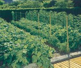 Promo Filet à ramer à 4,95 € dans le catalogue Les Compagnons des saisons à Bain-de-Bretagne