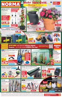Schuhe im Norma Prospekt "Mehr fürs Geld" mit 20 Seiten (Krefeld)