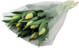 Aktuelles Tulpen Angebot bei E center in Chemnitz ab 3,99 €