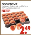 Anzucht-Set Angebote bei Wreesmann Aurich für 2,49 €