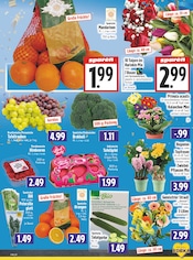 Pflanzen im EDEKA Prospekt in Gießen Aktueller EDEKA Prospekt mit Pflanzen, "Aktuelle Angebote", Seite 5