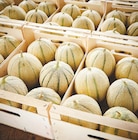 Promo Melon Charentais Vert à 1,99 € dans le catalogue Netto à La Roche-sur-Foron