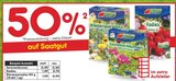 Sommerblumen oder Radies oder Bienenparadies 50 g im Angebot bei Netto Marken-Discount in Cottbus Sommerblumen oder Radies oder Bienenparadies 50 g Angebote von Kiepenkerl bei Netto Marken-Discount Cottbus für 0,24 €