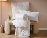 Aktuelles Sommerbett „Levante“ Angebot bei XXXLutz in Göttingen ab 19,99 €