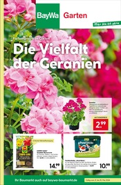 Ähnliche Angebote wie Mutterboden im Prospekt "Hier bin ich gern" auf Seite 1 von BayWa Bau- und Gartenmärkte in Reutlingen