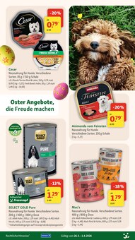 Huhn im Fressnapf Prospekt "Tolle Oster-Angebote" mit 24 Seiten (Bremen)