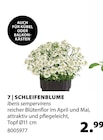 Dehner Garten-Center Frechen Prospekt mit  im Angebot für 2,99 €