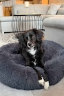 Hundebett Donut Angebote bei Zurbrüggen Ahlen für 49,99 €