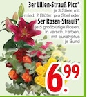 3er Lilien-Strauß Pico oder 5er Rosen-Strauß von  im aktuellen EDEKA Prospekt für 6,99 €