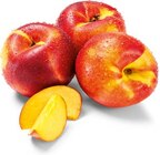 Pfirsiche im Netto Marken-Discount Prospekt Nektarinen im aktuellen Netto Marken-Discount Prospekt für 1,49 €