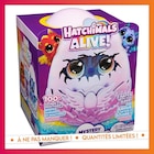 Hatchimals alive eclosion secret - B&M Hatchimals alive eclosion secret à 18,00 € dans le catalogue B&M