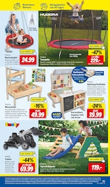 Aktueller Lidl Prospekt mit Traktor, "LIDL LOHNT SICH", Seite 45