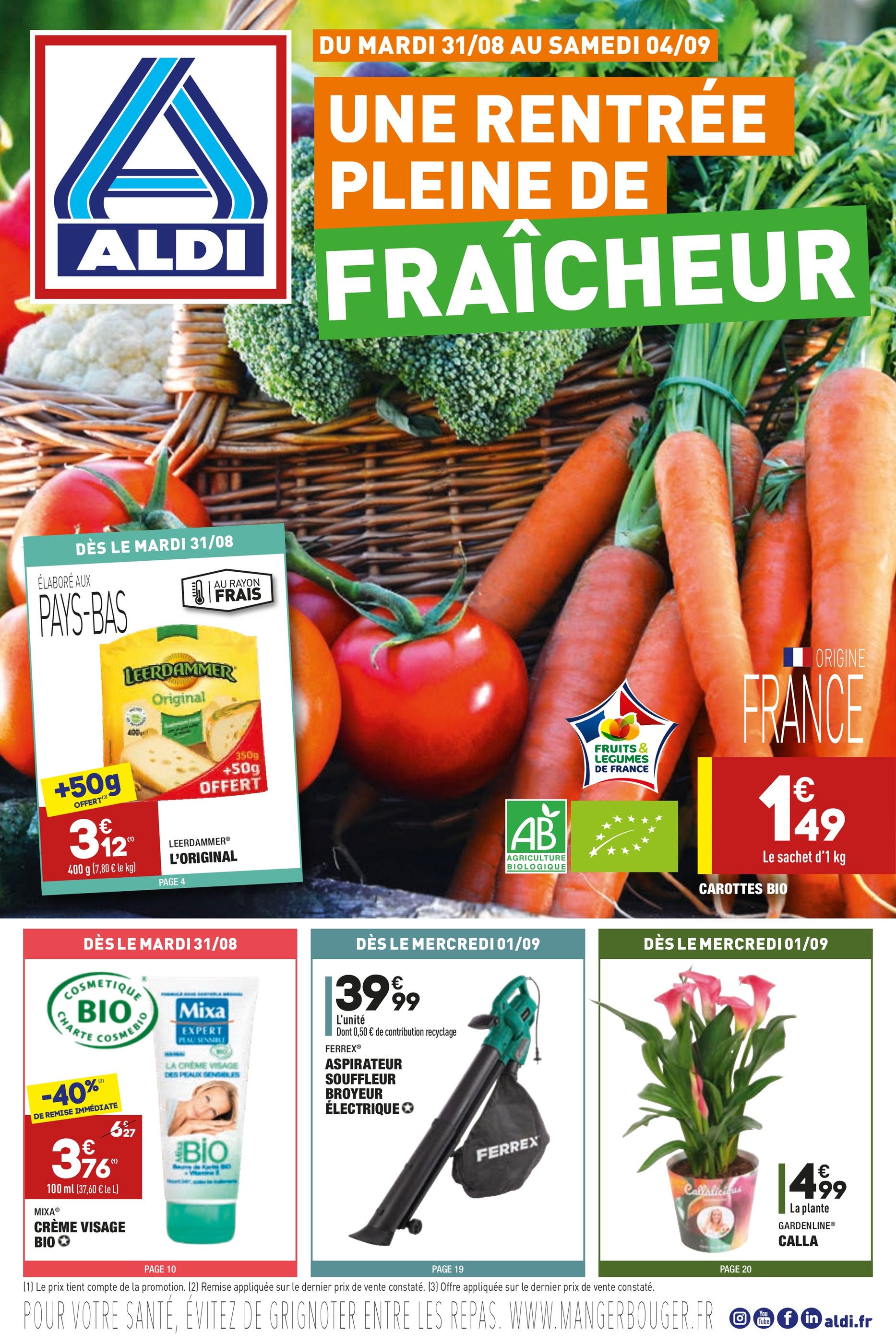 Chicorée Aldi - Promo et prix dans le catalogue du moment