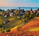 Heidelbeerwein von Katlenburger im aktuellen Kaufland Prospekt