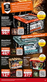 Aktueller Sonderpreis Baumarkt Prospekt mit Apple, "20 JAHRE VOLLER ÜBERRASCHUNGEN", Seite 13