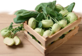 Kohl im tegut Prospekt Kohlrabi im aktuellen tegut Prospekt für 0,39 €